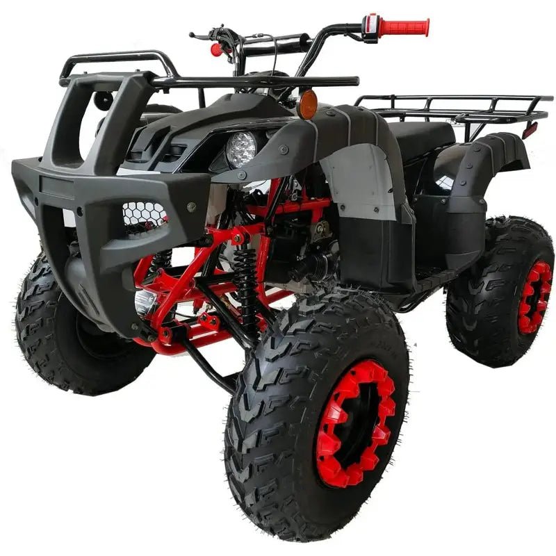 200 ATV Quad 4 Wheelers Utility Full Sizee Adult ATVs Big Youth ATVs - Prioka