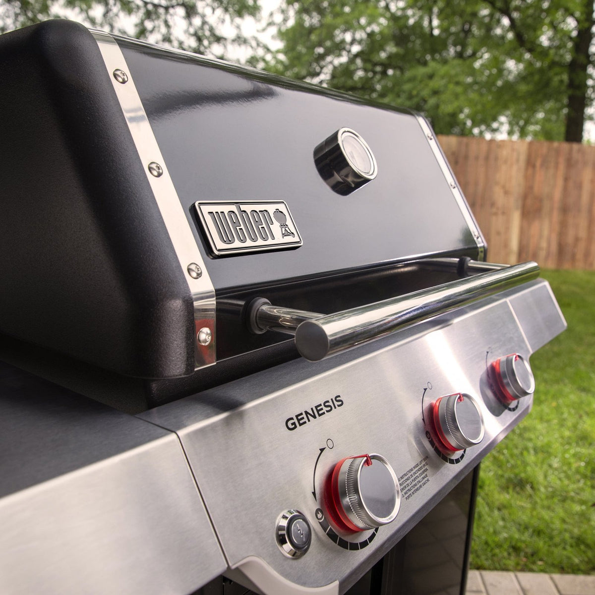 Genesis E-315 Gas Grill (Natural Gas)