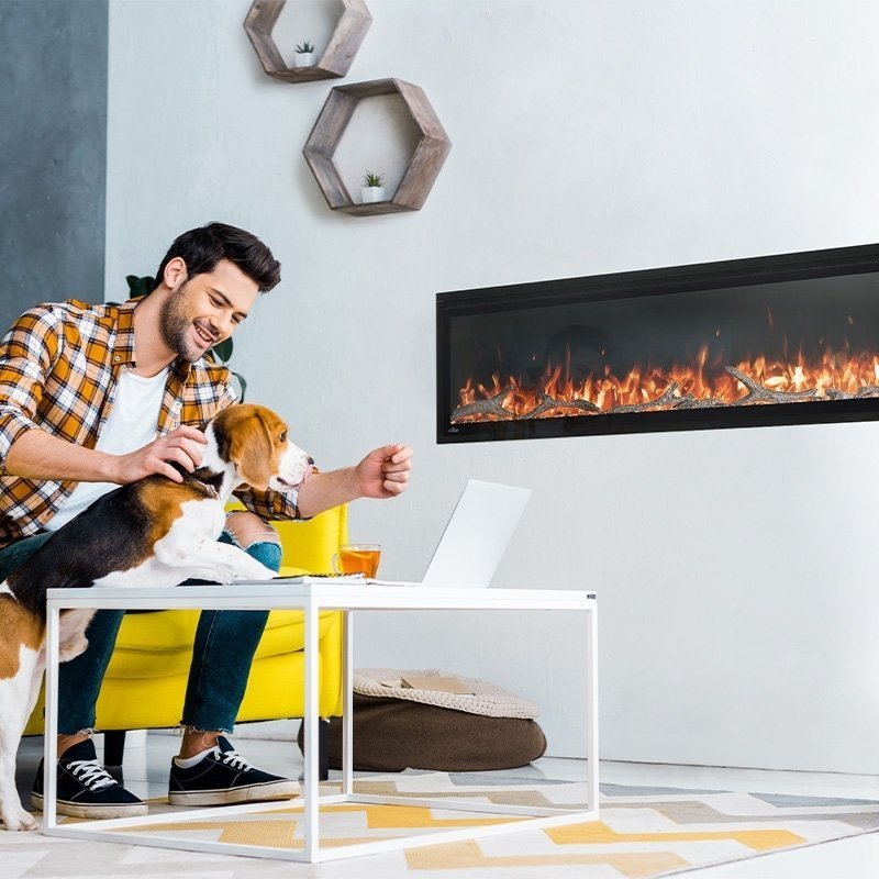 Napoleon Entice 60 Wall Hanging Electric Fireplace