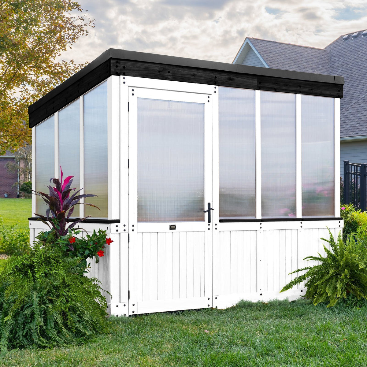 9×6 Willow Greenhouse –  Pre-Stained & Sealed White
