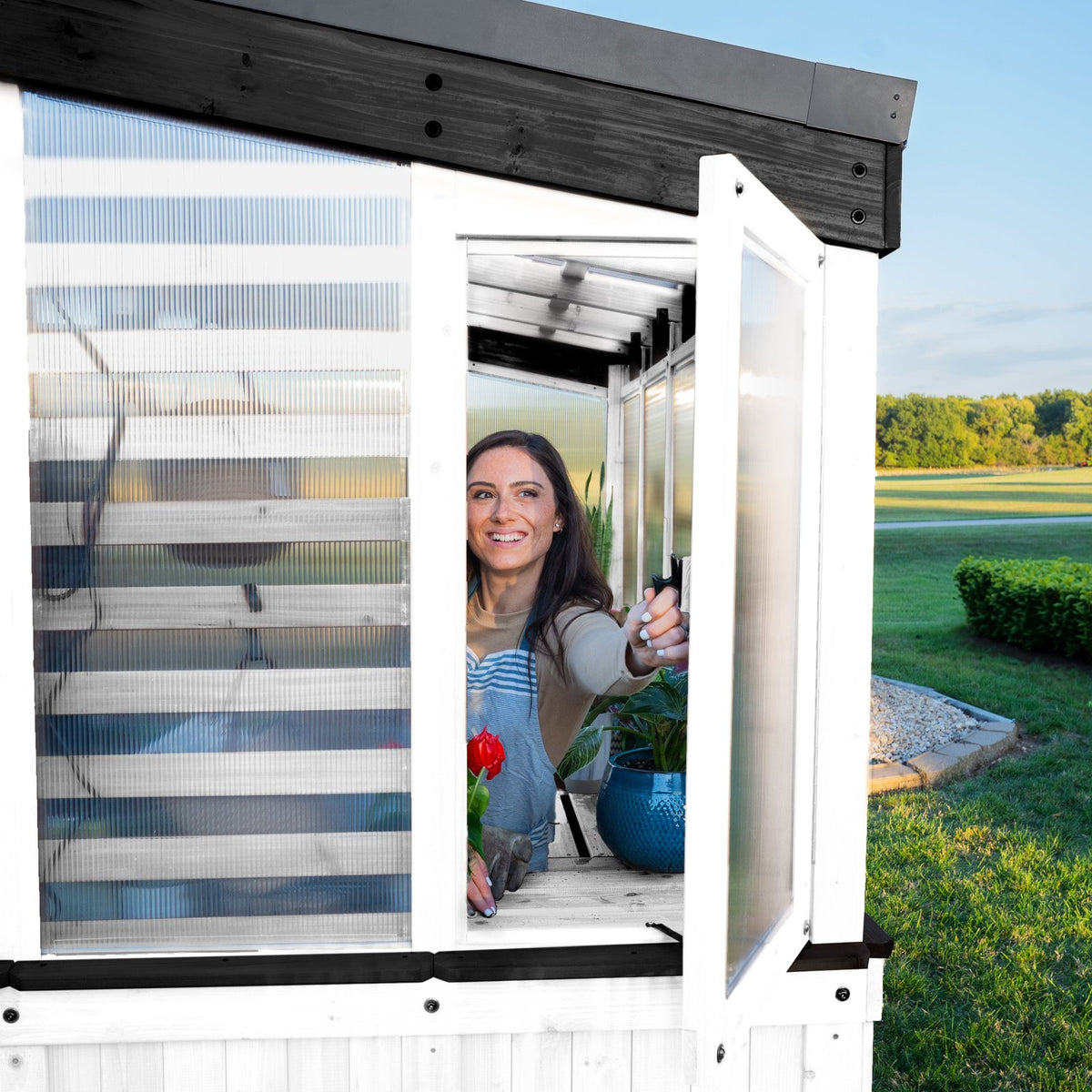 9×6 Willow Greenhouse –  Pre-Stained & Sealed White