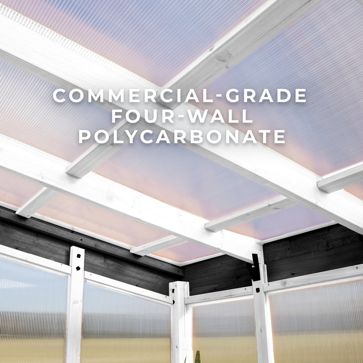 9×6 Willow Greenhouse –  Pre-Stained & Sealed White