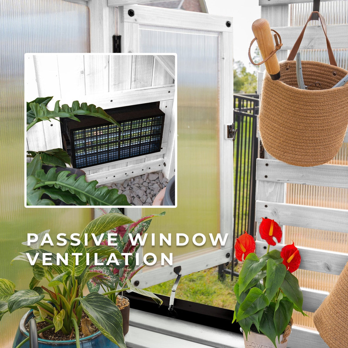 9×6 Willow Greenhouse –  Pre-Stained & Sealed White