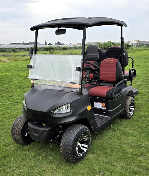 48V Electric Golf Cart 4 Seater Renegade X Edition Utility Golf UTV – BLACK - Prioka