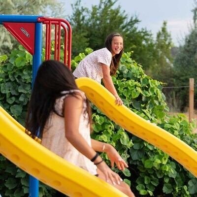Lifetime Big Stuff Deluxe Swing Set