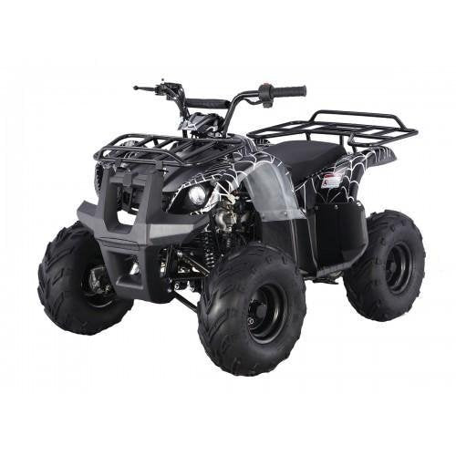Tao Motor D125 Kids ATVs