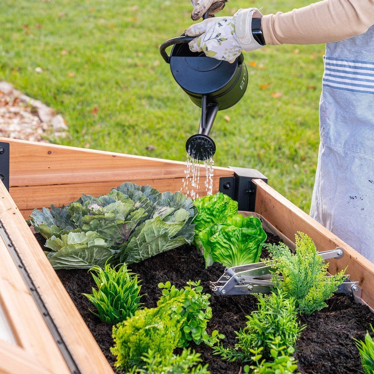 Aggie Cold Frame Box - Prioka