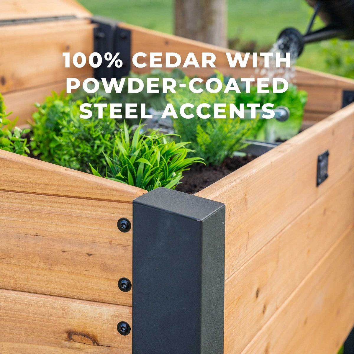 Aggie Cold Frame Box - Prioka