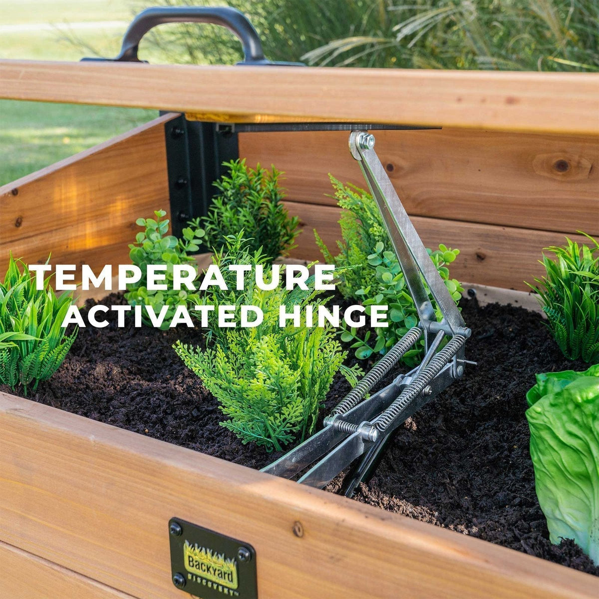 Aggie Cold Frame Box - Prioka