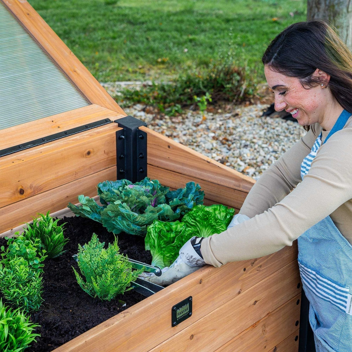 Aggie Cold Frame Box - Prioka