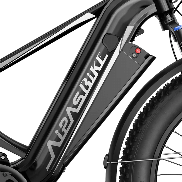 Aipas M2 Xterrain Ebike Aipas-M2-black Baskets. - Prioka