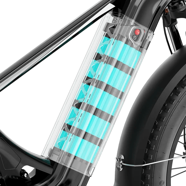 Aipas M2 Xterrain Ebike Aipas-M2-black Baskets. - Prioka
