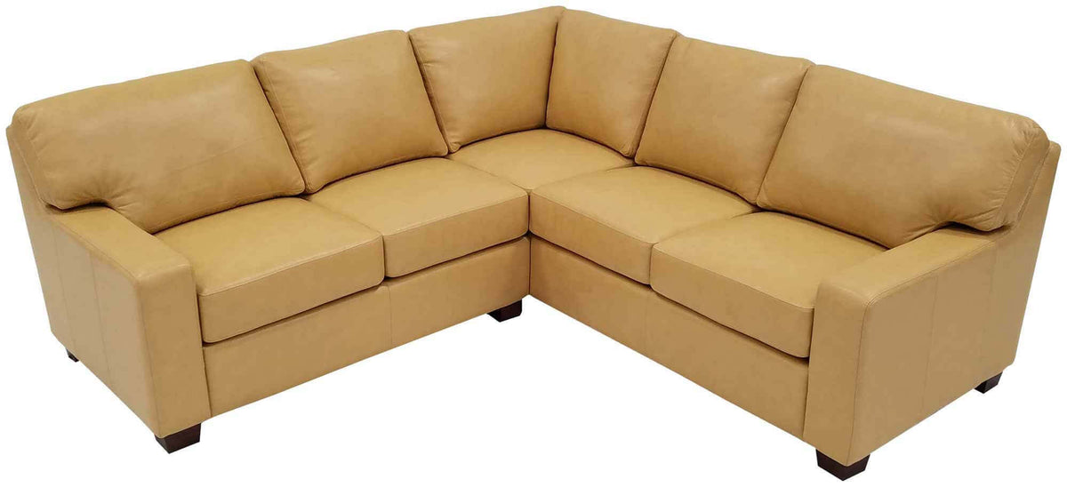 Albany Leather Sectional - Prioka