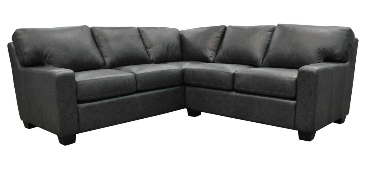 Albany Leather Sectional - Prioka