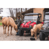 Axis 500 4×4 UTV Red - Prioka