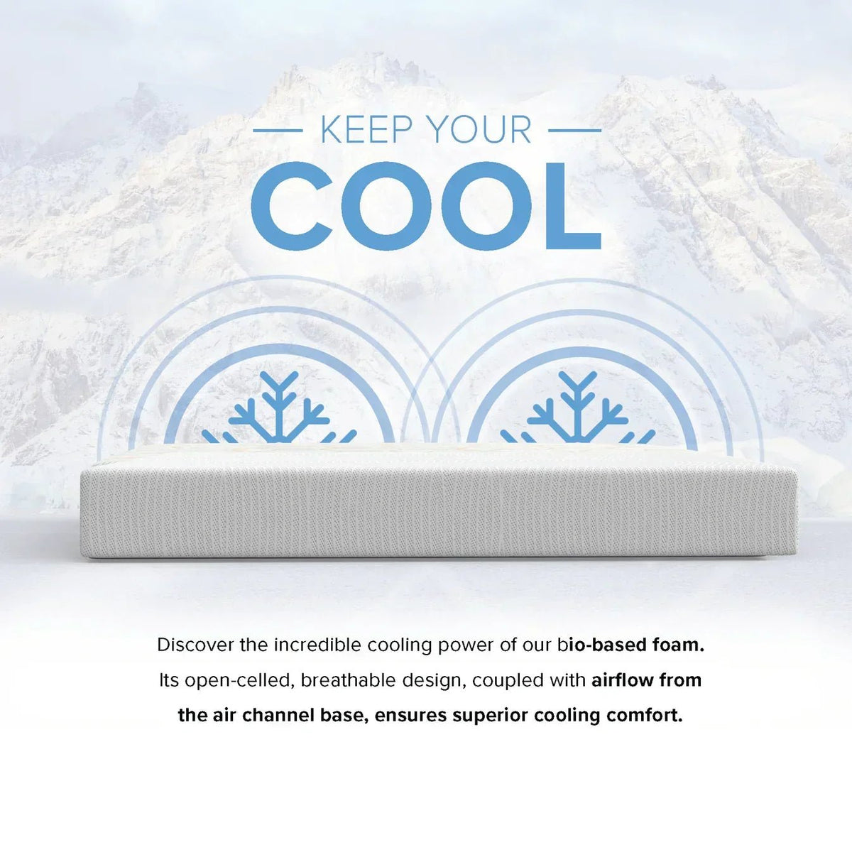 Bedplanet 10” EcoCore Origin Soy-Based Mattress – Eco-Friendly & Medium Firm - Prioka