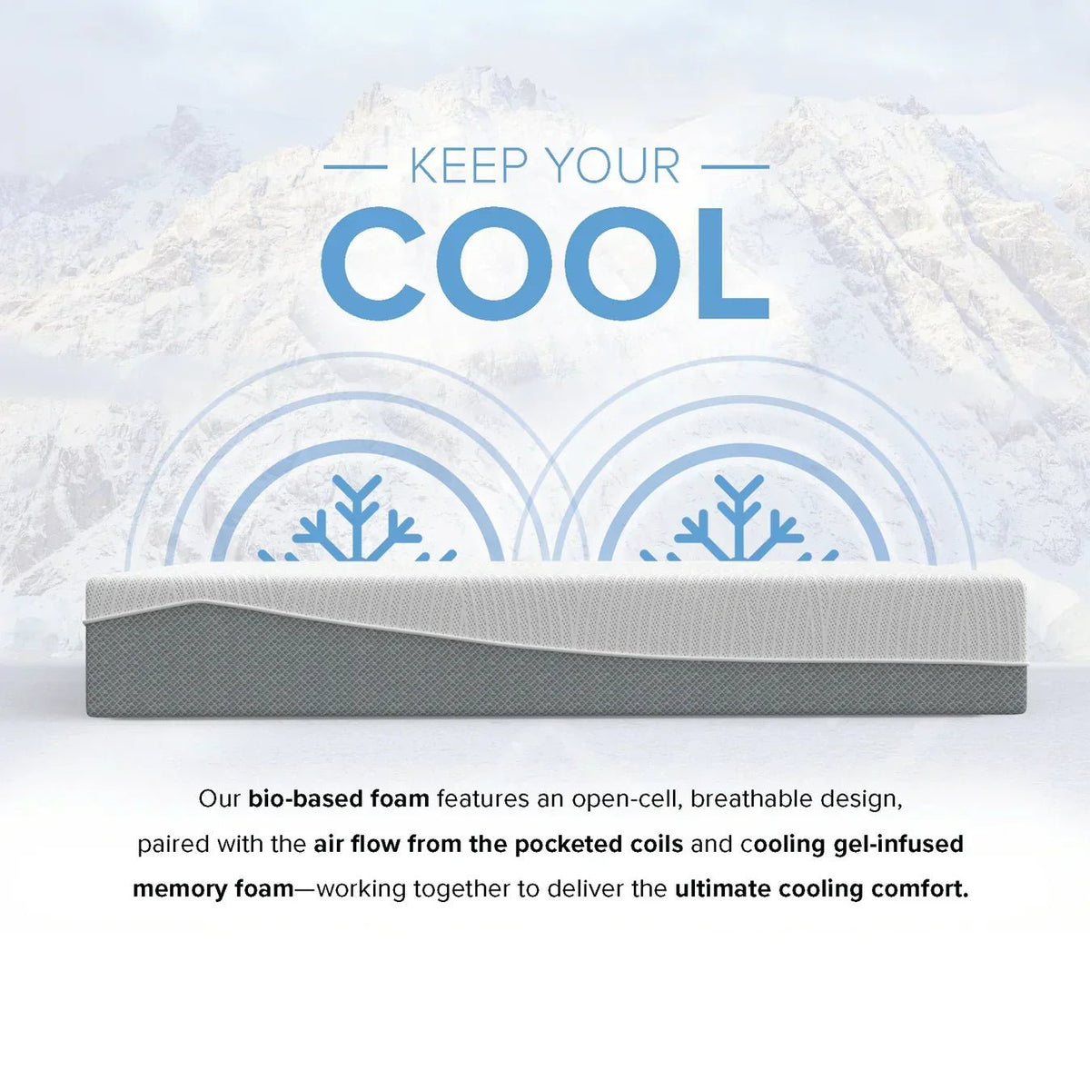 Bedplanet 12” EcoCore Hybrid Mattress – Soy-Based Foam & Pocketed Coils - Prioka
