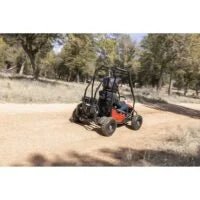 Coleman Powersports GK100 One-Seater Go Karts. - Prioka