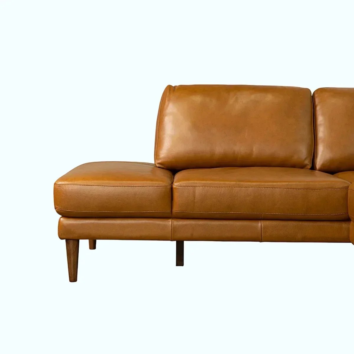 Corbin Top-Grain Leather Sectional - Prioka