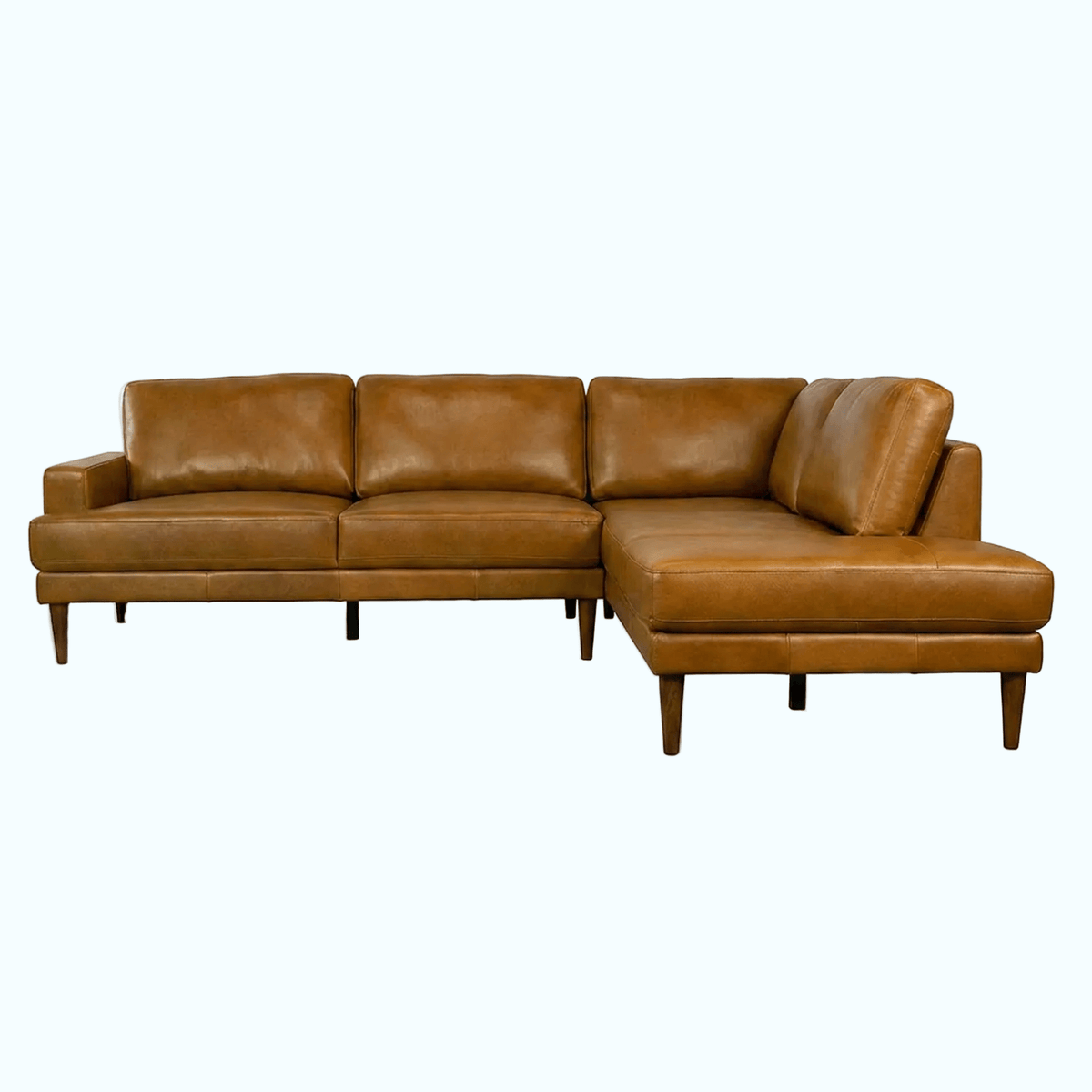 Corbin Top-Grain Leather Sectional - Prioka