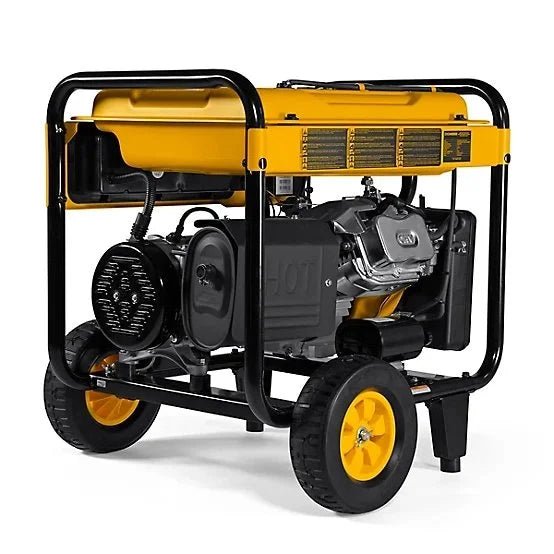 DEWALT 8000 Watt Portables Gas Generators DXGNR8000 - Prioka