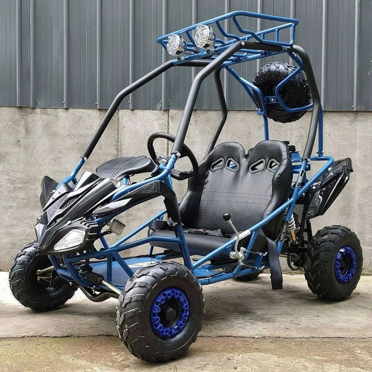 DongFang 125cc Kids Go Karts Type-GTS - Prioka