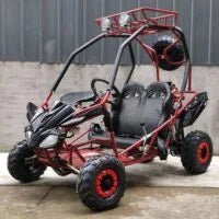 DongFang 125cc Kids Go Karts Type-GTS - Prioka
