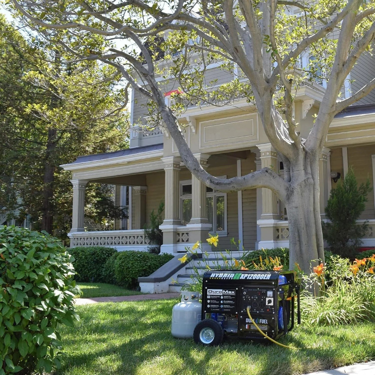 DuroMax XP12000EH 12,000 Watt Dual Fuel Portable Generators. - Prioka