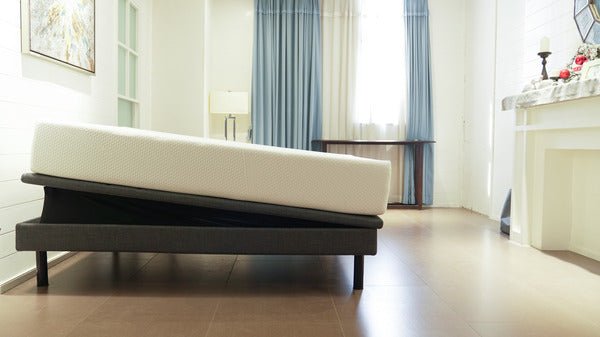 Ergomotion Ascend High-Low Adjustable Bed with Tilt - Prioka