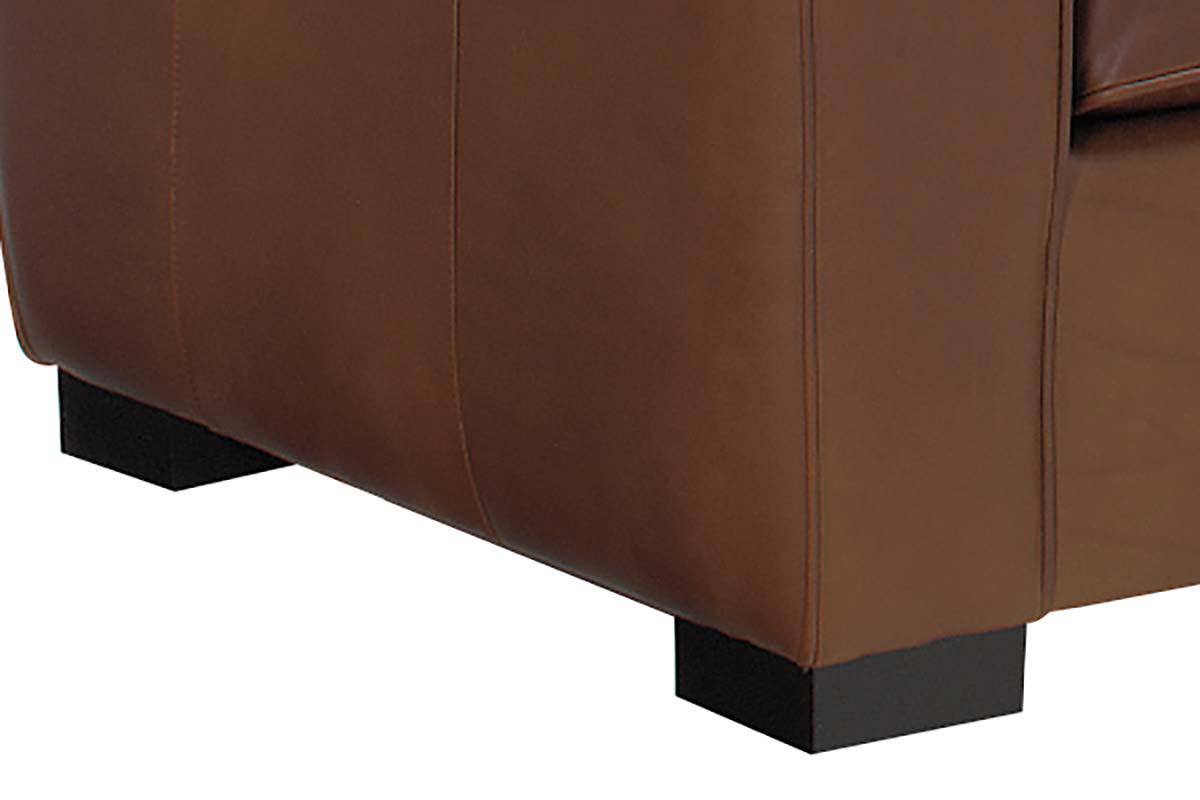 Hayden 81 Inch Contemporary Leather Sofa - Prioka