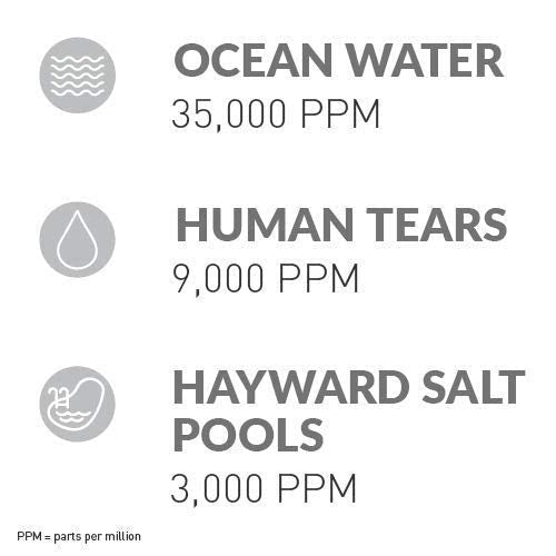 Hayward W3AQR15 AquaRite Salt Chlorination System for In-Ground Pools up to 40,000 Gallons - Prioka
