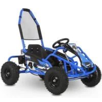 Interceptor Kids Gas Powered Go Karts. - Prioka