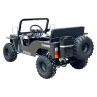 Massimo Minis 125 Go Karts 125cc 9hp - Prioka