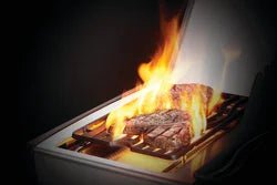 Napoleon Rogue SE 425 Gas Grills - Prioka