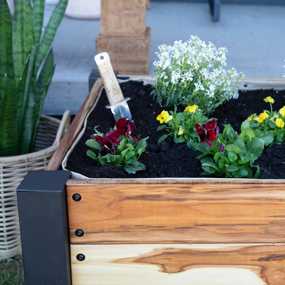 Planter 100% Authentic Teak Wood - Prioka