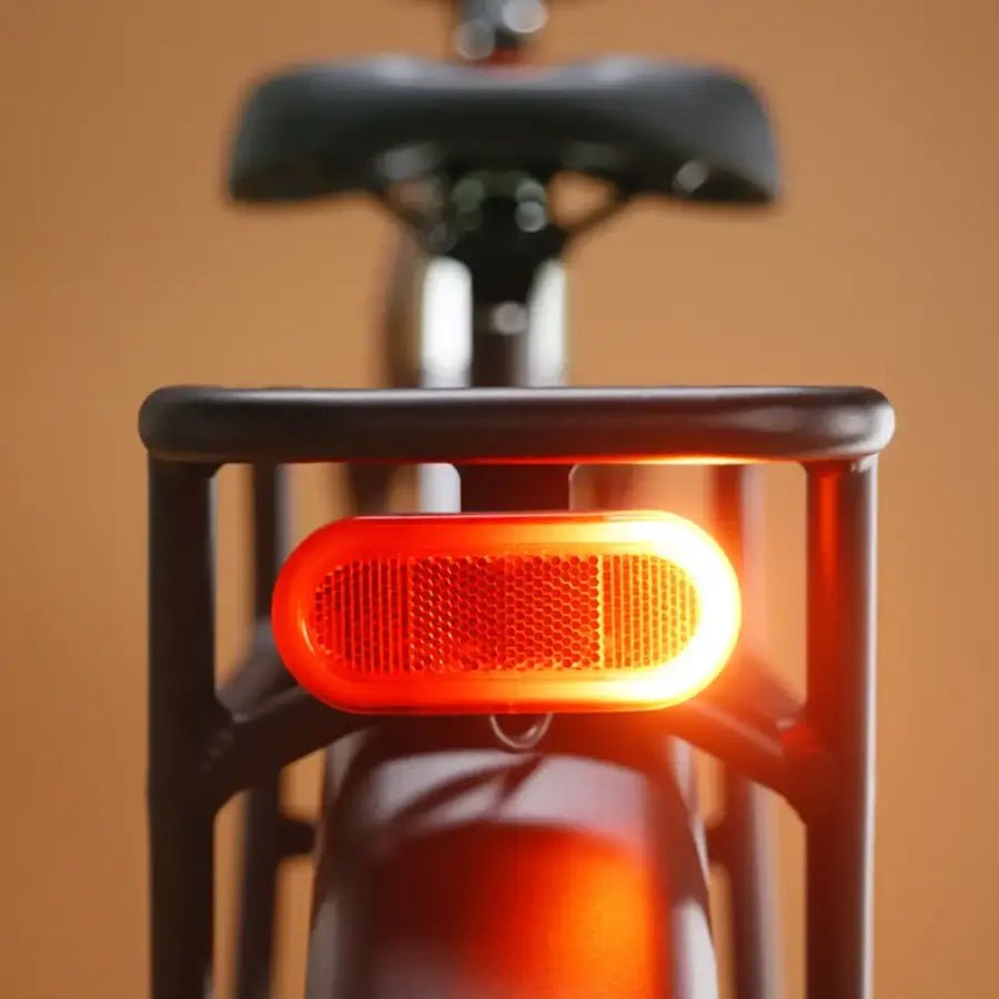 Rad Power Bikes Radsters Trail Electric Off-Road Bikes - Prioka