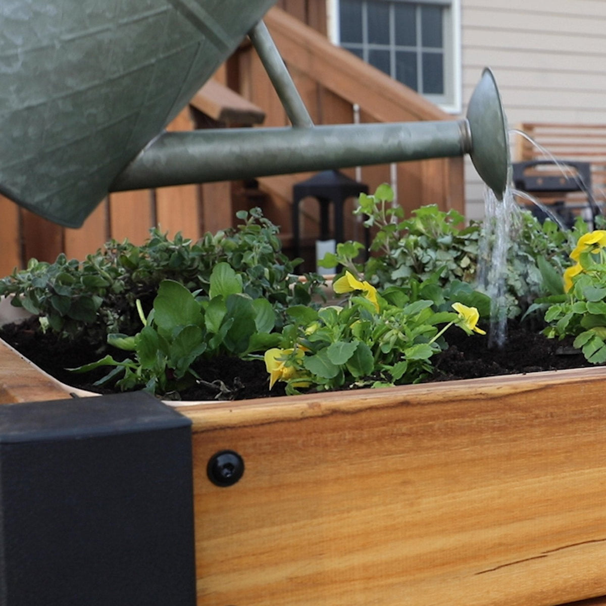Raised Planter 100% Authentic Teak Wood - Prioka