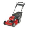 Recycler 22 in Briggs And Stratton Personal Pace Rear Wheel Drive Gas Self Propelled Lawn Mower - Prioka