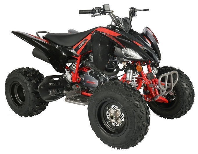 Regency PRO Ultra Sport 250cc ATV - Prioka