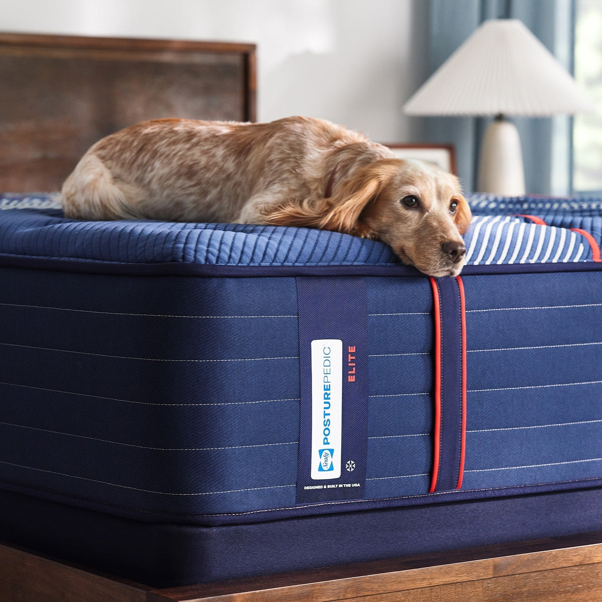 Sealy Posturepedic Elite Spring Albany II 14" Firm Tight Top Mattress - Prioka