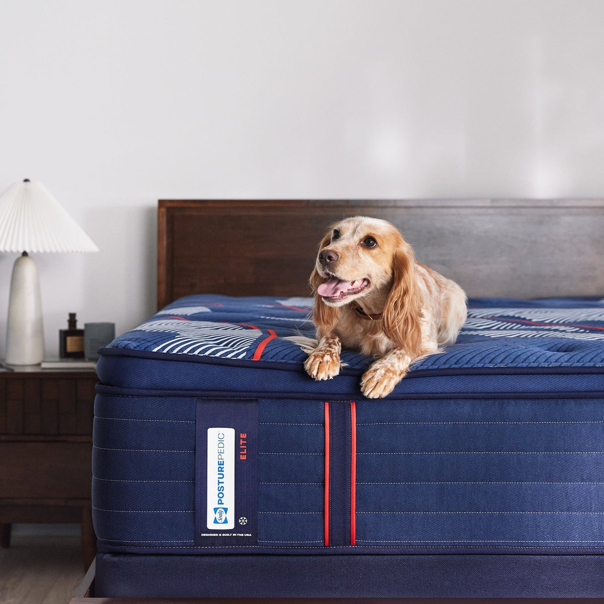 Sealy Posturepedic Elite Spring Albany II 15" Soft Euro Pillowtop Mattress - Prioka