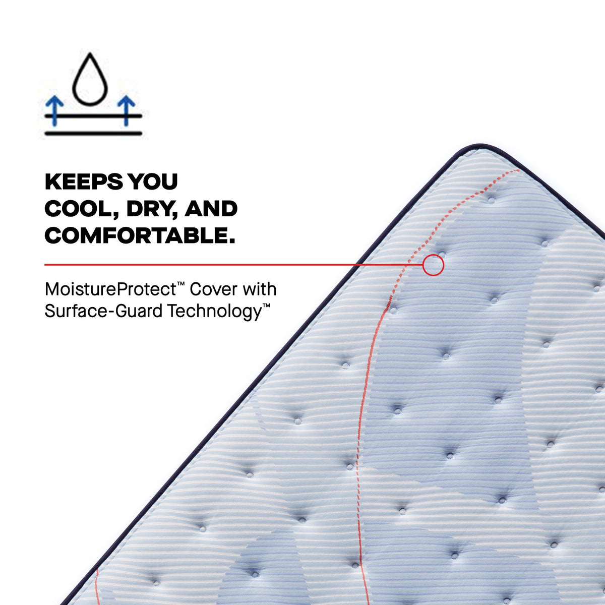 Sealy Posturepedic Plus Spring Paterson II 14" Soft Tight Top Mattress - Prioka