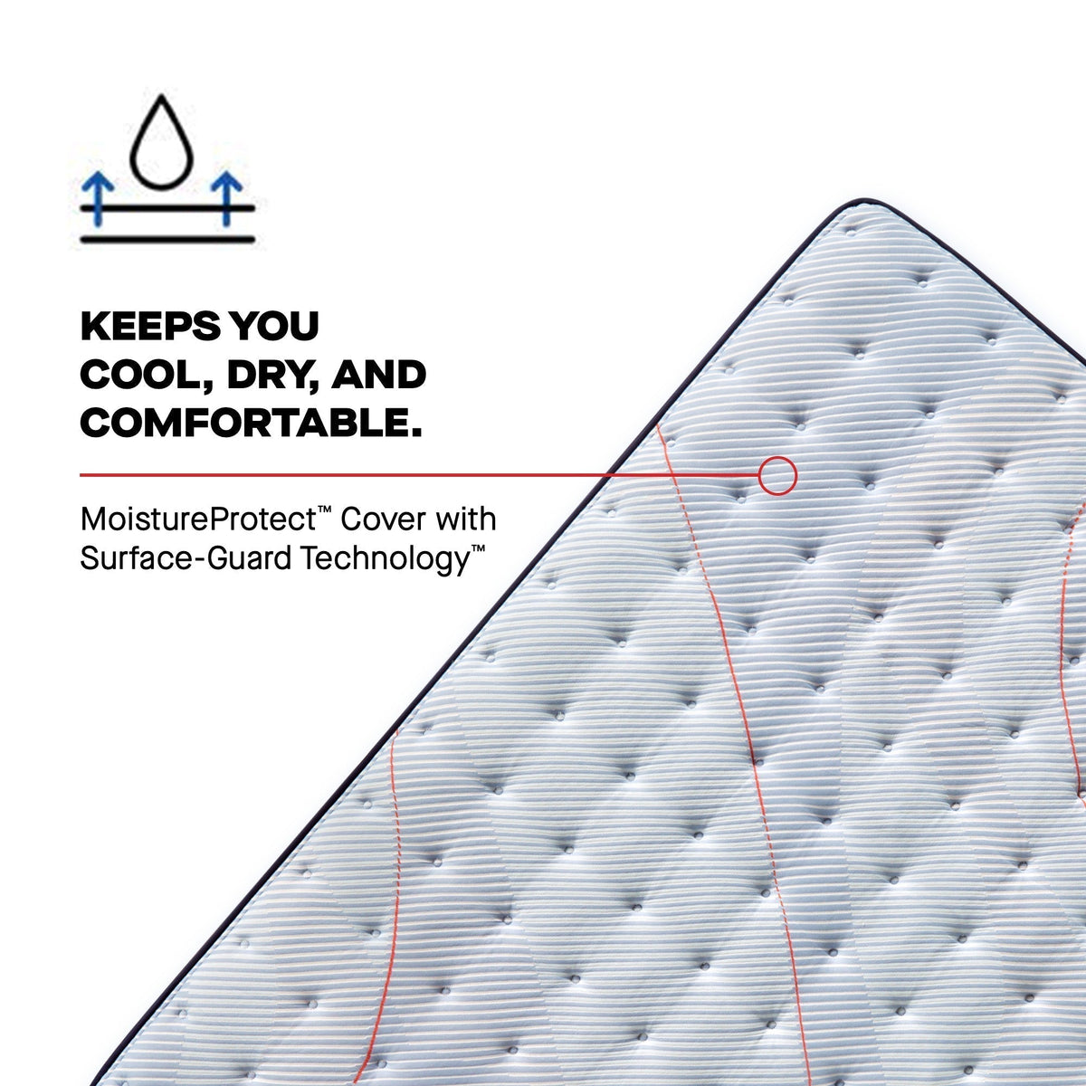 Sealy Posturepedic Spring Medina II 14" Soft Euro Pillowtop Mattress - Prioka