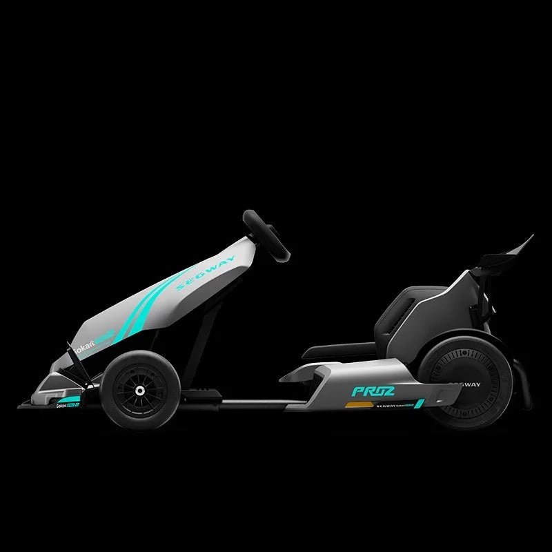 Segway GoKarts Pro 2 - Prioka