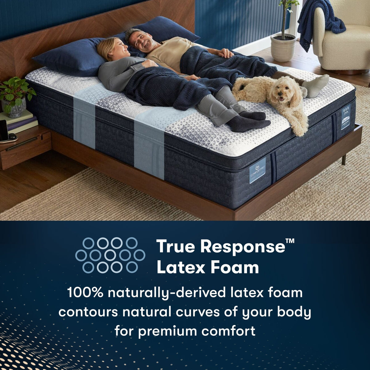 Serta iComfort Pro™ Buckingham Ultra Plush Pillow Top Mattress - Prioka