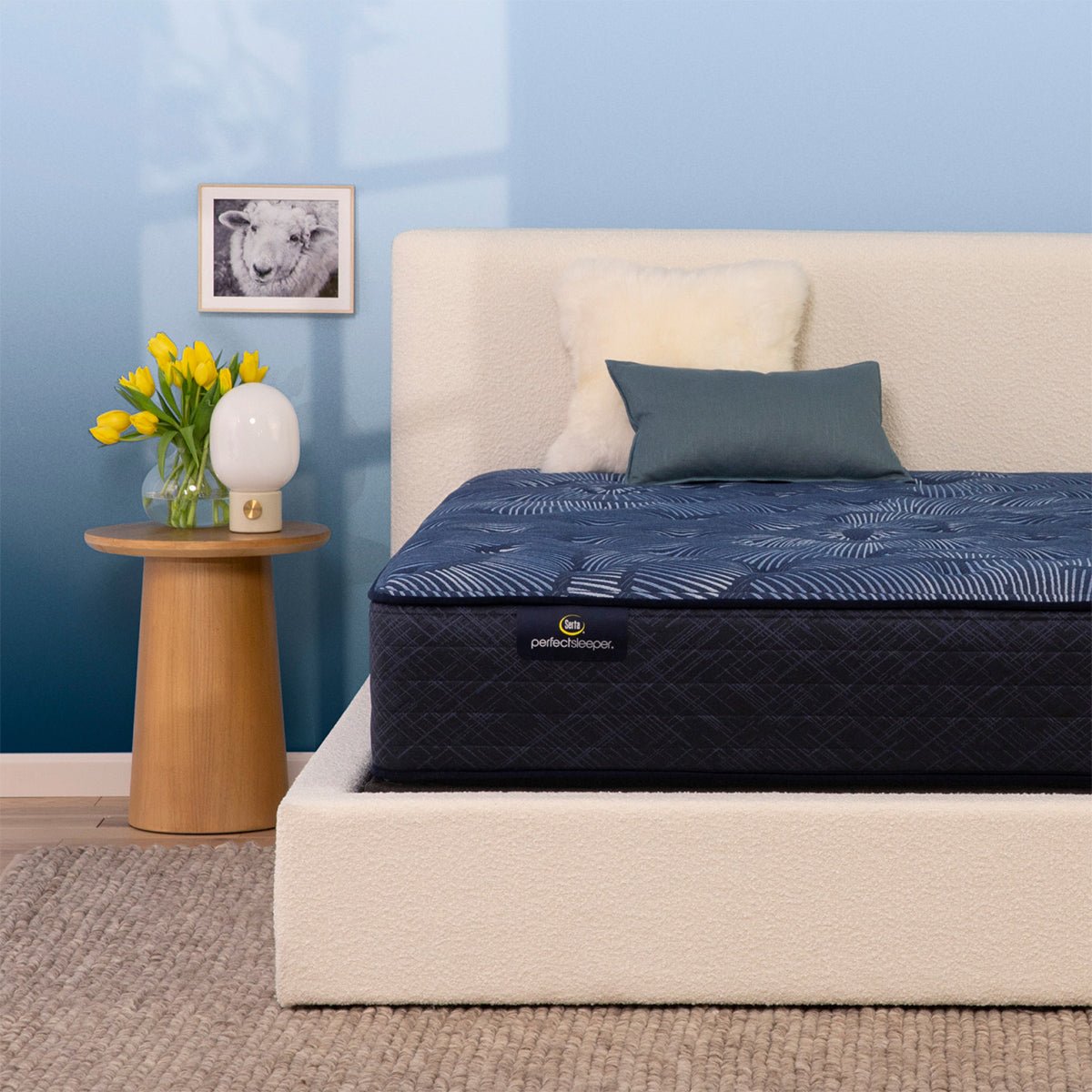 Serta Perfect Sleeper® Oasis Sleep 13.25" Plush Mattress - Prioka