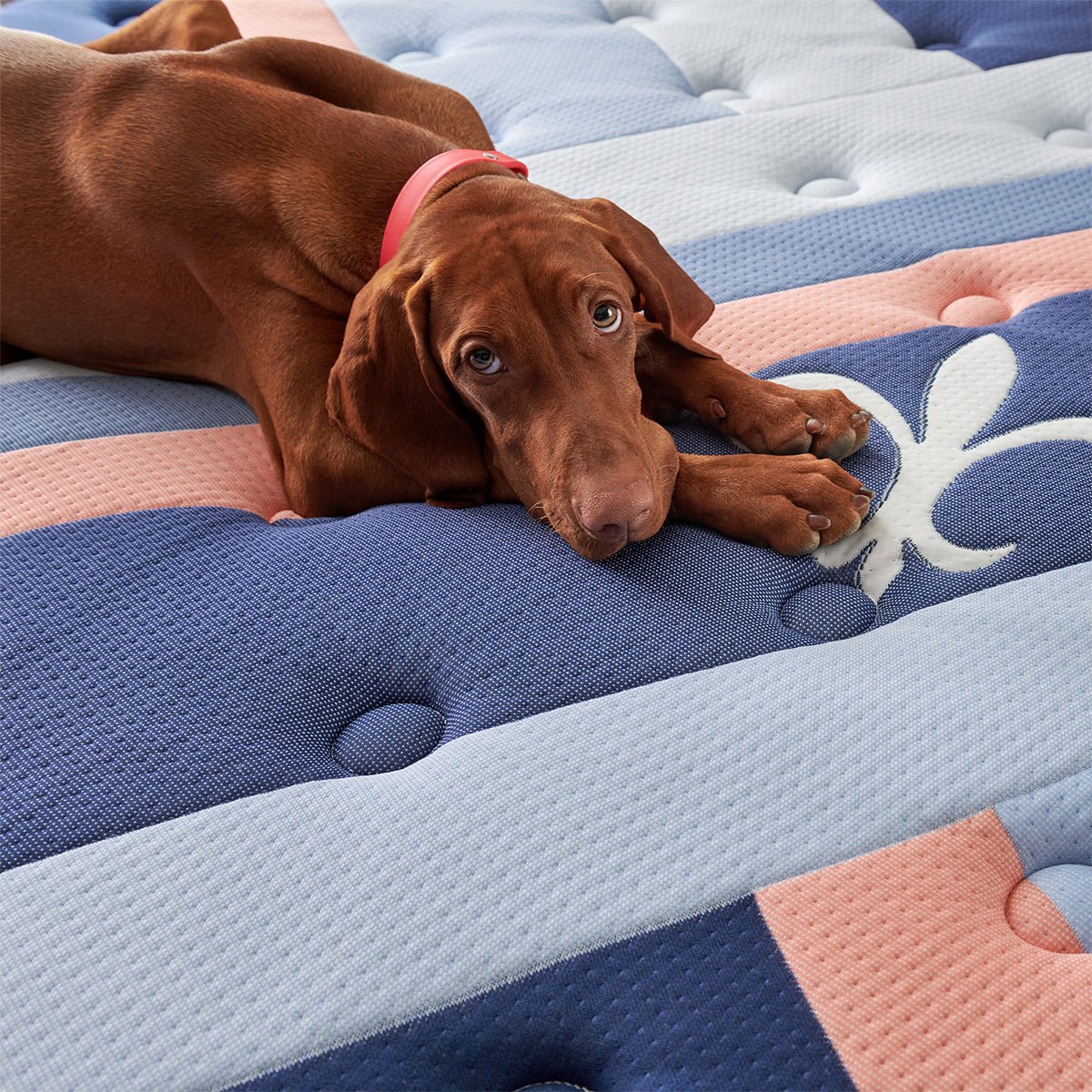 Stearns & Foster Reserve Duet Firm Tight Top Mattress with Reversible Topper - Prioka