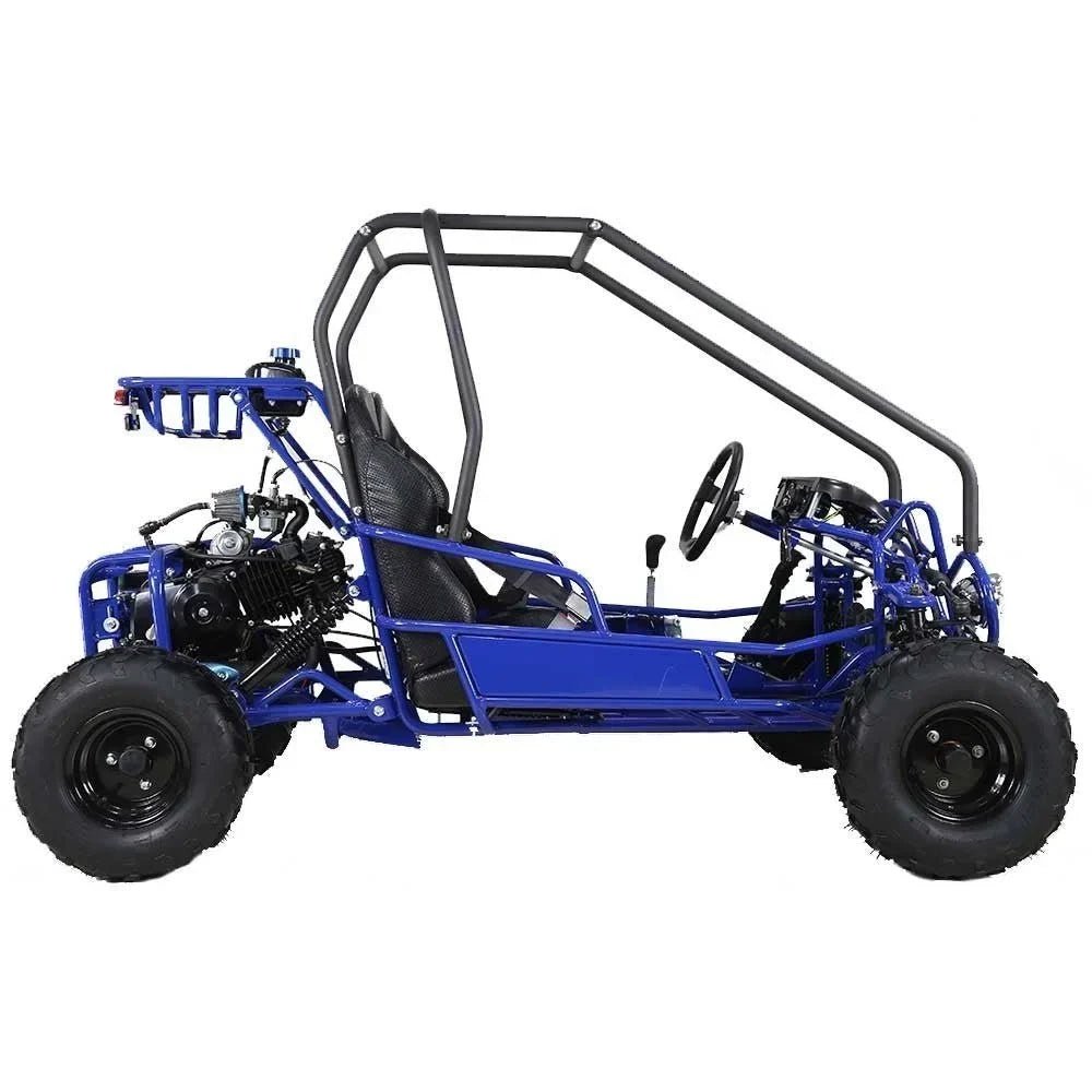 Taotao GK110 Kids Gas Go Kart Dune Buggys. - Prioka