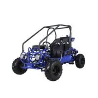 Taotao GK110 Kids Gas Go Kart Dune Buggys. - Prioka