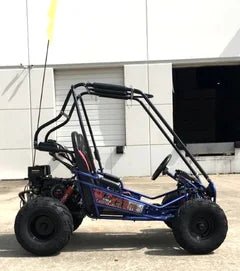 Trailmaster Mini XRX+ 2- Seater GO-KART EAGLE SERIES 163cc Blues. - Prioka